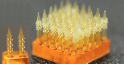 Исследователи печатают в 3d-печати полые микроиглы для контролиру-емой трансдермальной доставки лекарств