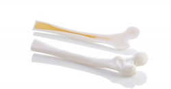 Технология Digital Anatomy 3D добавляет реализма при печати костей