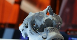 AXIAL3D и FAST RADIUS организовали сервис по 3D-печати хирургических моделей 