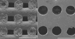 Биоразлагаемые минеральные импланты стали доступны благодаря технологии 3D печати соляных шаблонов, разработанной в швейцарском университете