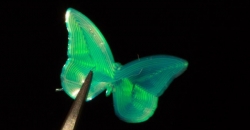 Учёные совершили прорыв в области создания меняющих цвет чернил на основе жидких кристаллов для 3D-печати